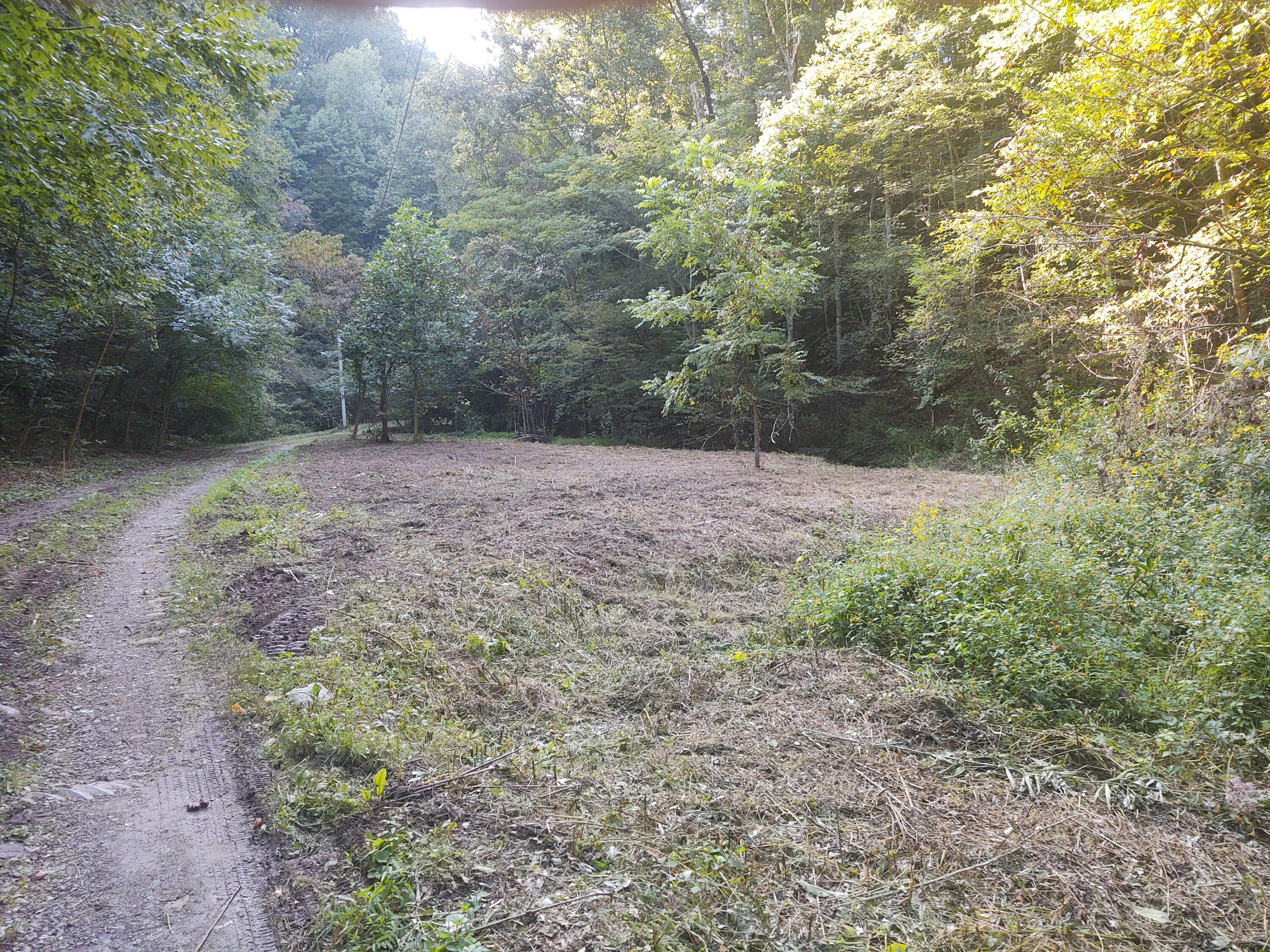 Mathis Branch Road Gatlinburg, TN 37738 - Photo 8 of 11 Pic 9