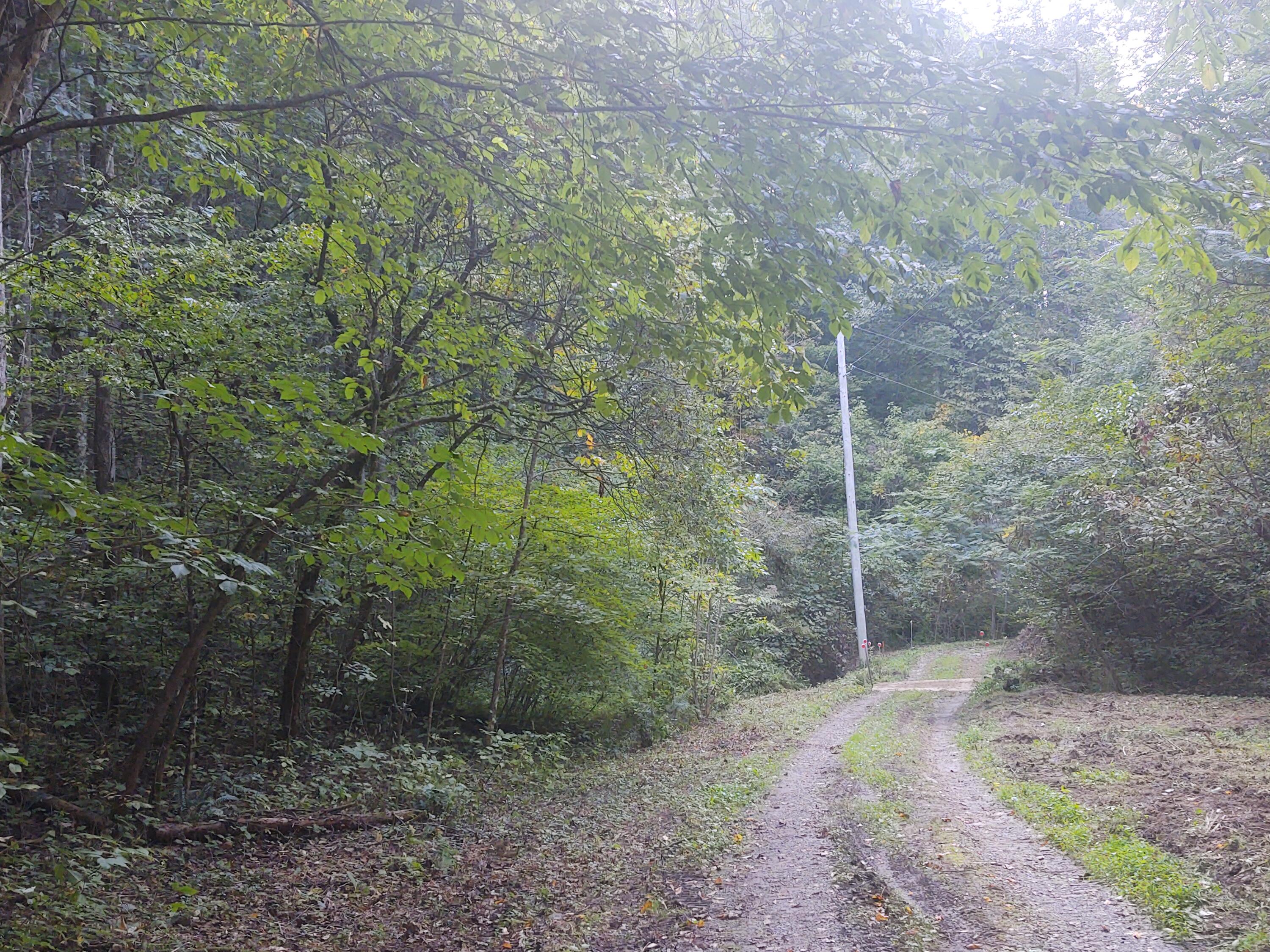 Mathis Branch Road Gatlinburg, TN 37738 - Photo 9 of 11 Pic 10