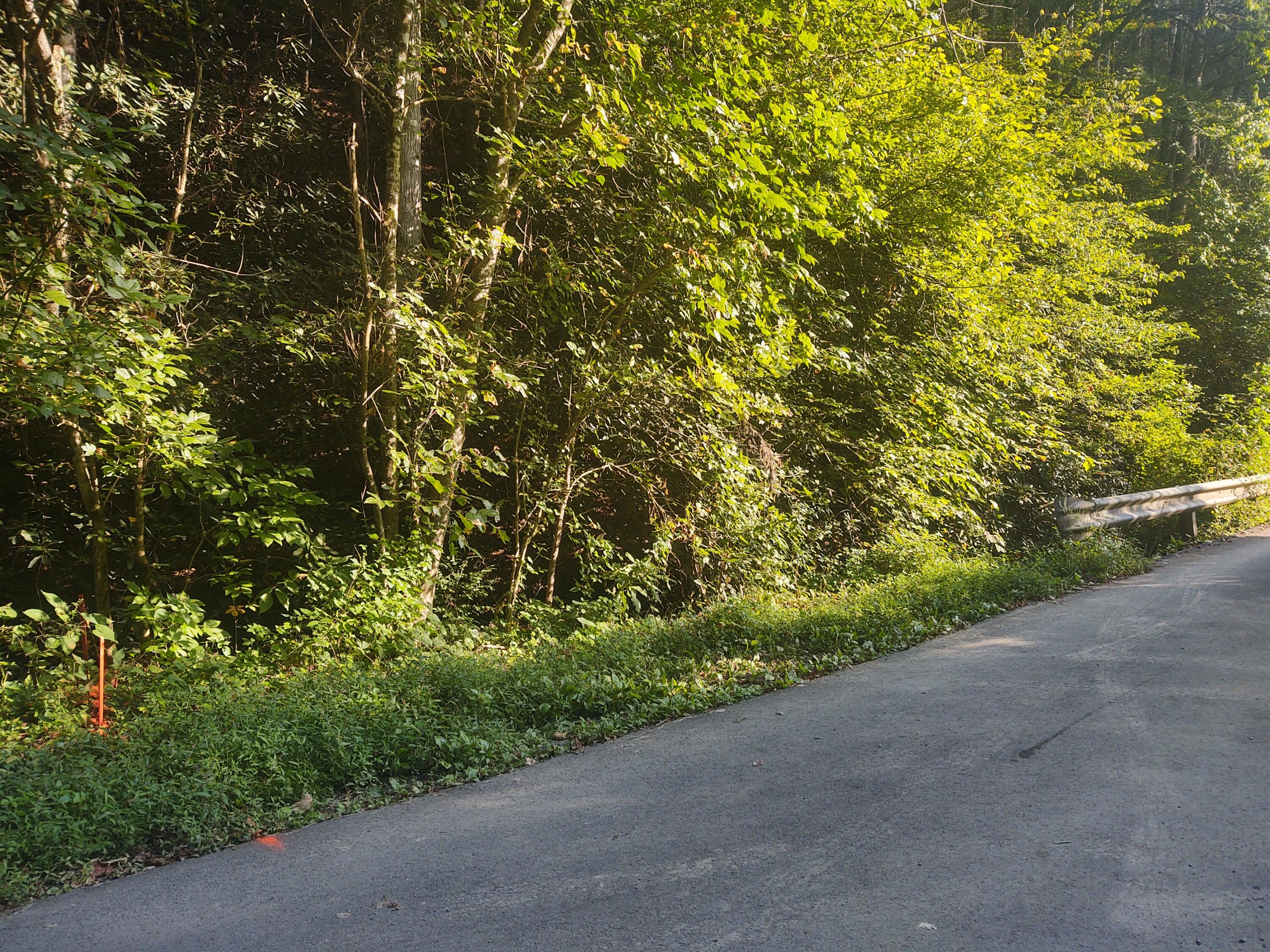Mathis Branch Road Gatlinburg, TN 37738 - Photo 10 of 11 Pic 11