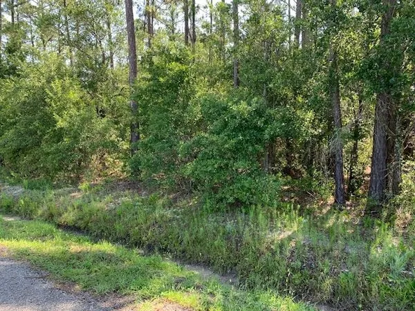 $43,000 | 10040 Isaacson Avenue, Hastings, FL 32145