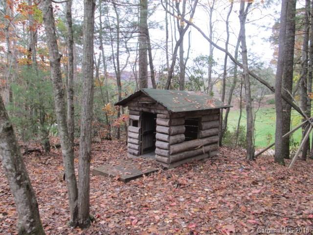 269 Terrys Gap Road Fletcher, NC 28732 - Photo 6 of 23