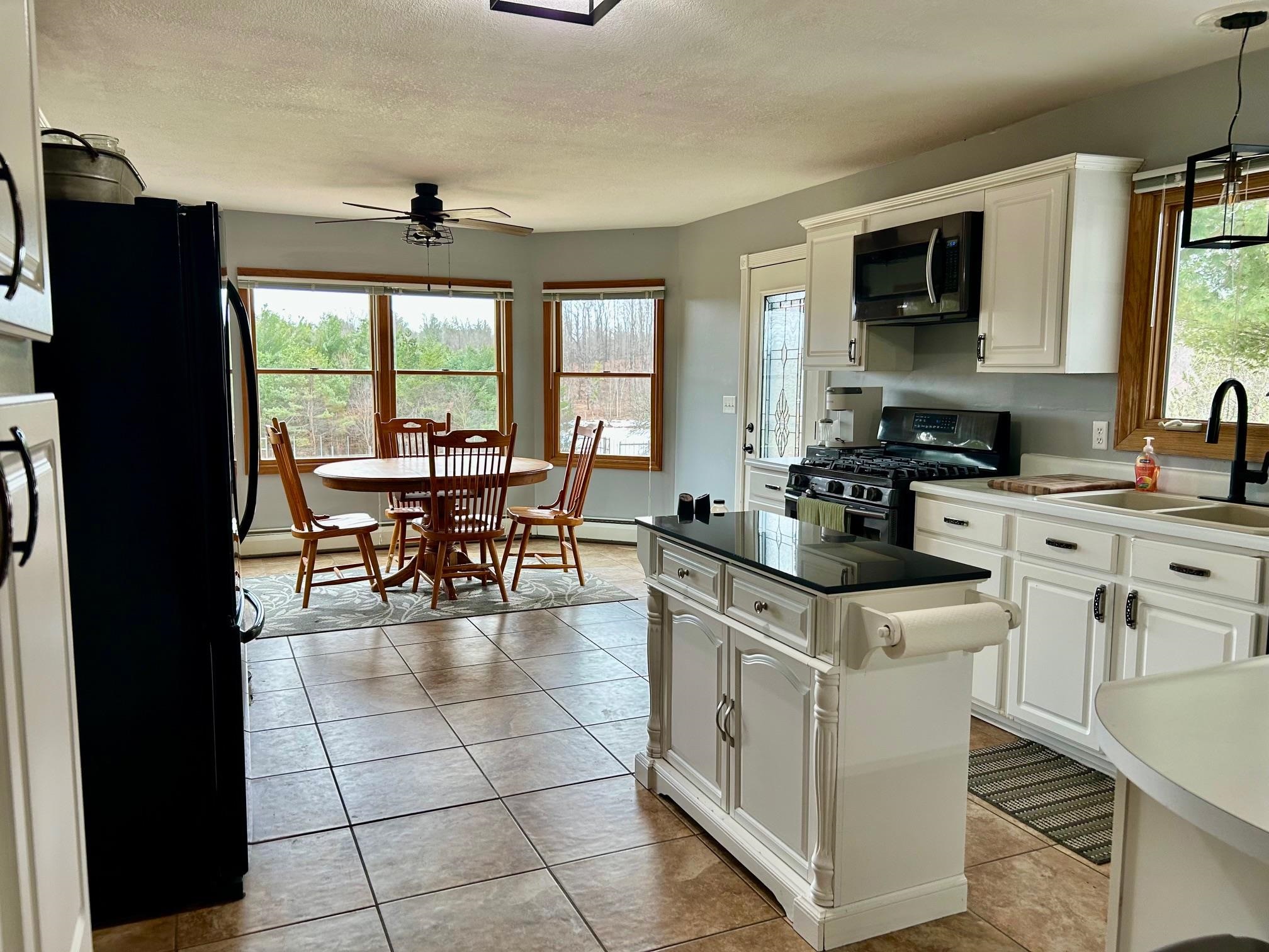 21238 Lakola Road Tustin, MI 49688 - Photo 12 of 70 Gallery Image 12