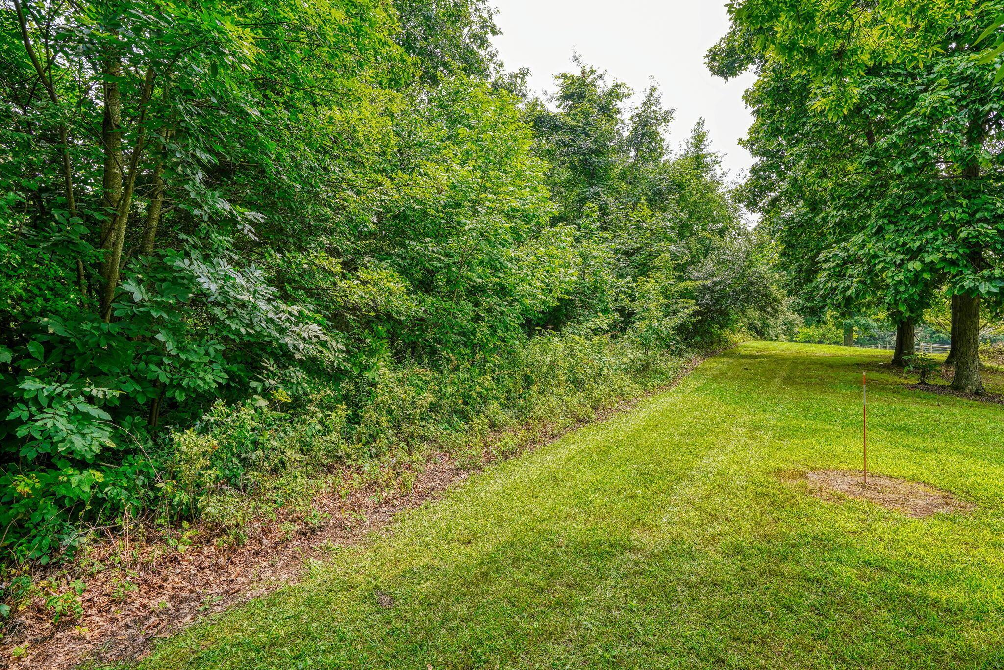 0 Chambers Road Sunbury, OH 43074 - Photo 5 of 17 Driveway