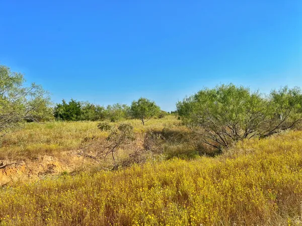a view of lake and mountain