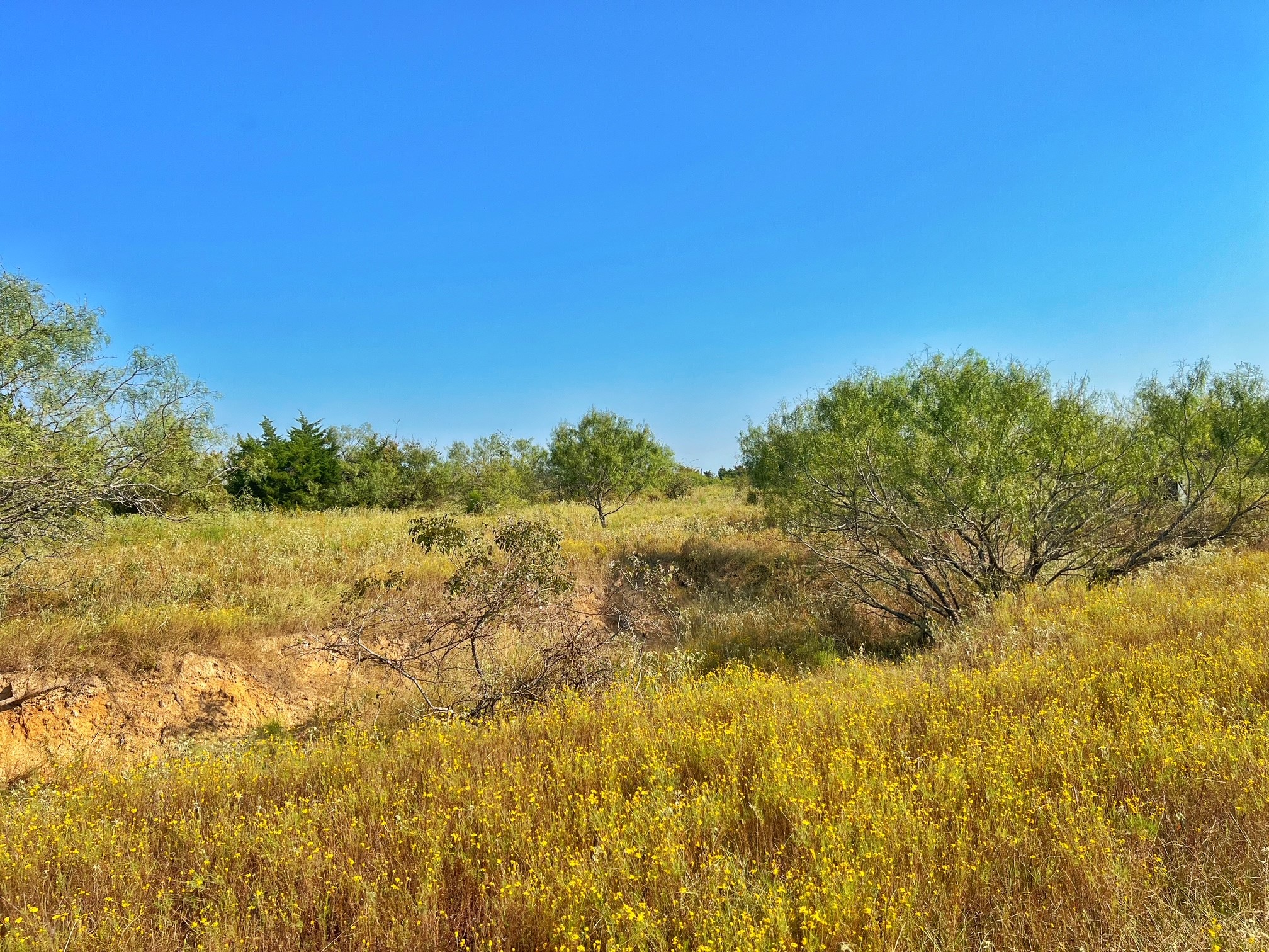 5403 Dry Creek Calvert, TX 77837 - Photo 16 of 25 a view of lake and mountain