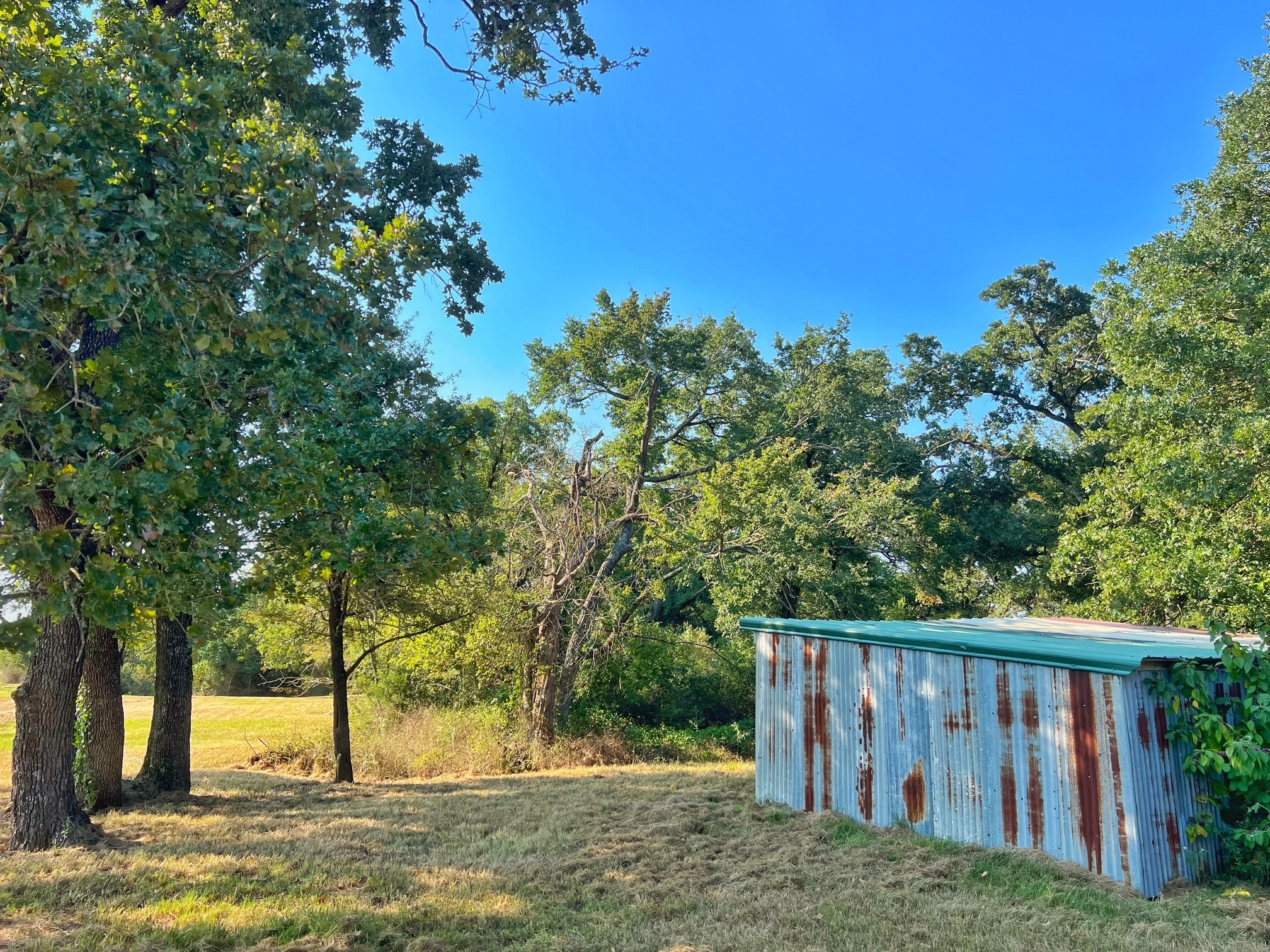 5403 Dry Creek Calvert, TX 77837 - Photo 18 of 25 a view of backyard with green space