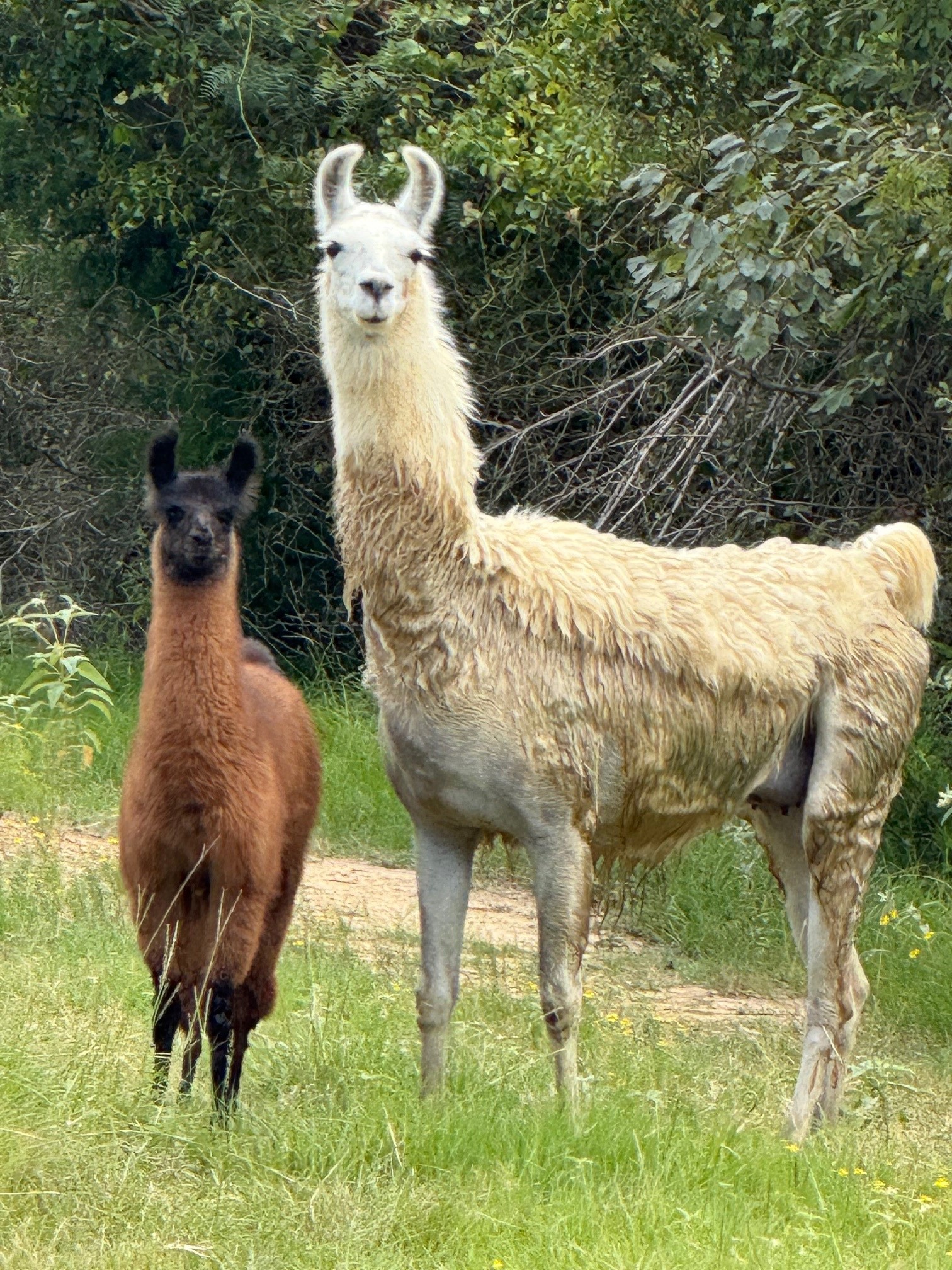 5403 Dry Creek Calvert, TX 77837 - Photo 21 of 25 a view of jacuzzi