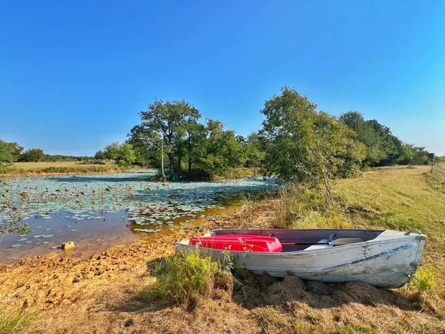 a view of swimming pool with a yard