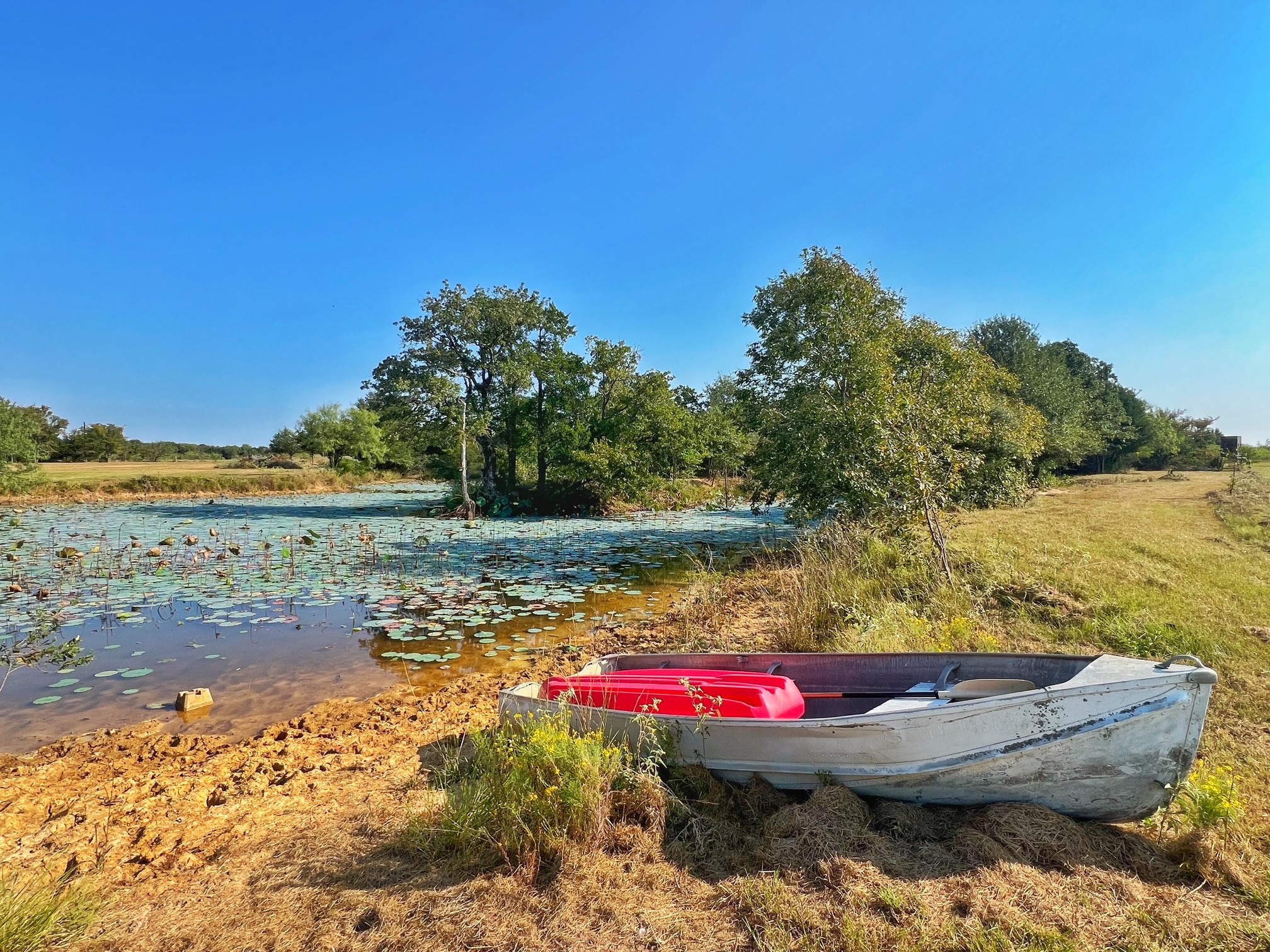 5403 Dry Creek Calvert, TX 77837 - Photo 5 of 25 a view of swimming pool with a yard