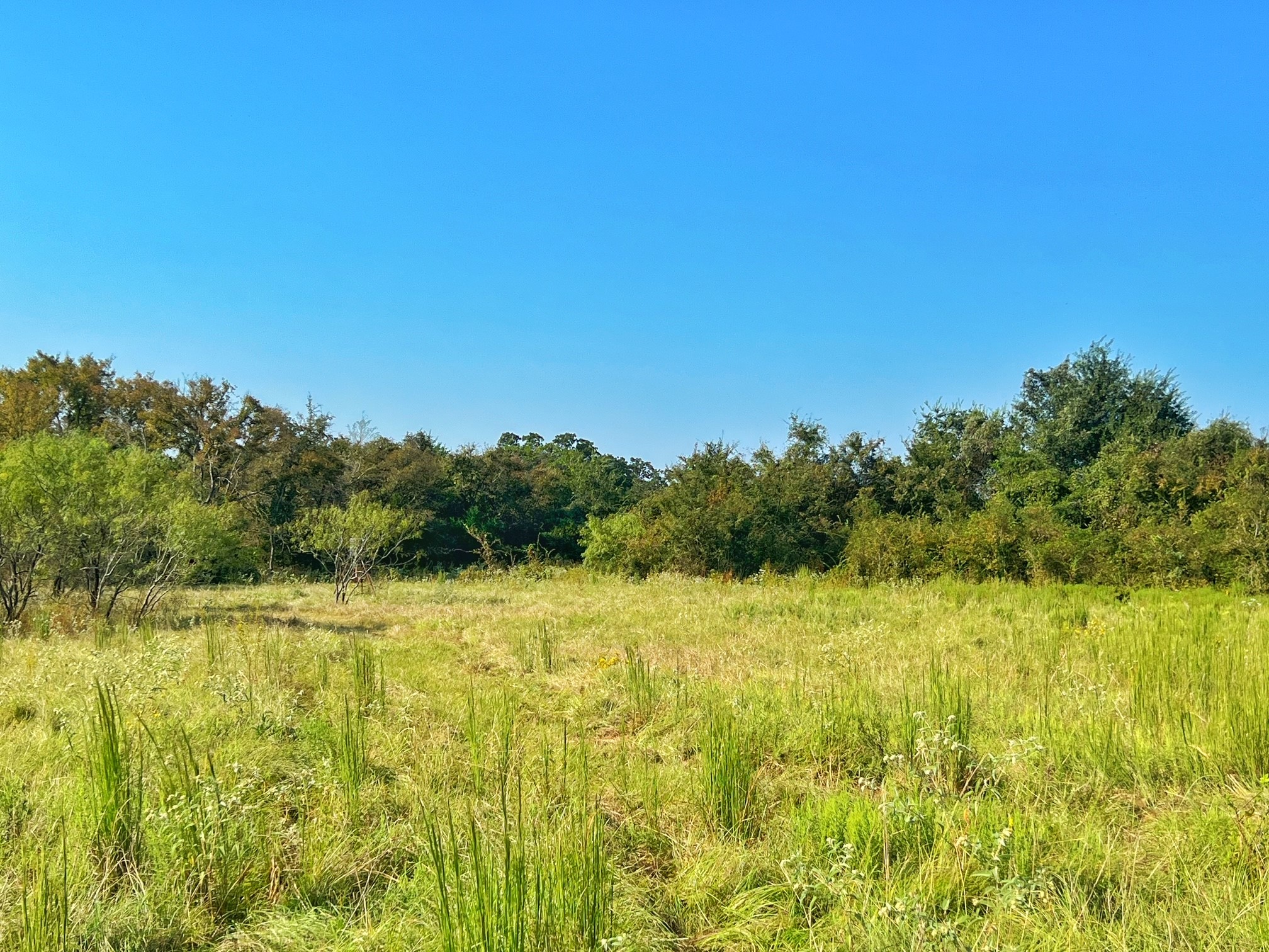 5403 Dry Creek Calvert, TX 77837 - Photo 6 of 25 a view of a lake view
