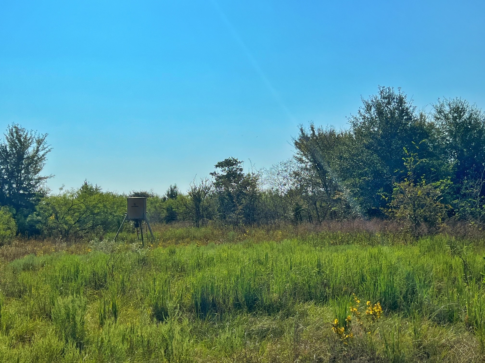 5403 Dry Creek Calvert, TX 77837 - Photo 9 of 25 a view of a garden with a lake