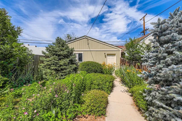 a room with furniture and a potted plant