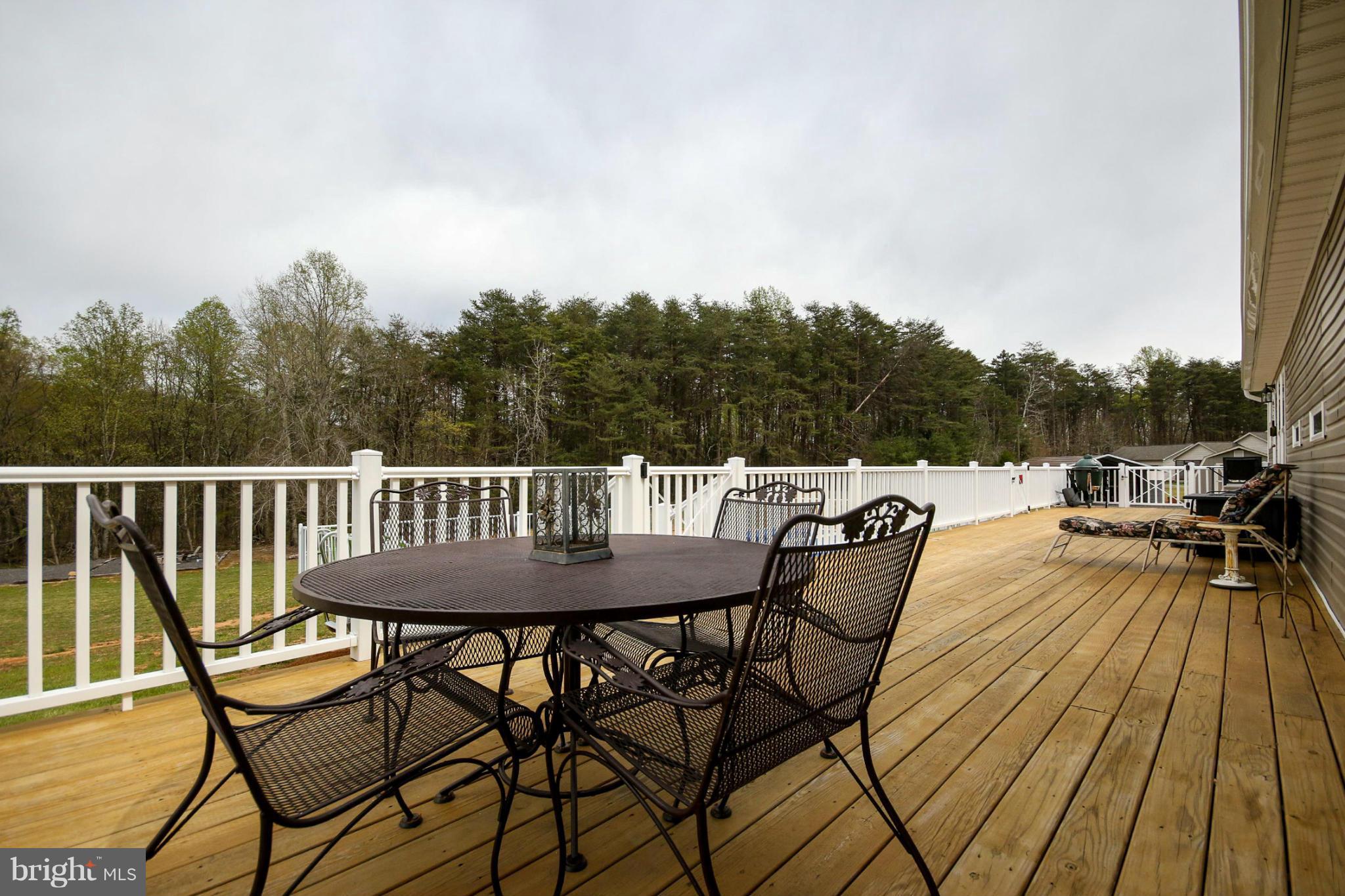 11057 Tower Road Unionville, VA 22567 - Photo 10 of 30 Exterior (Rear)