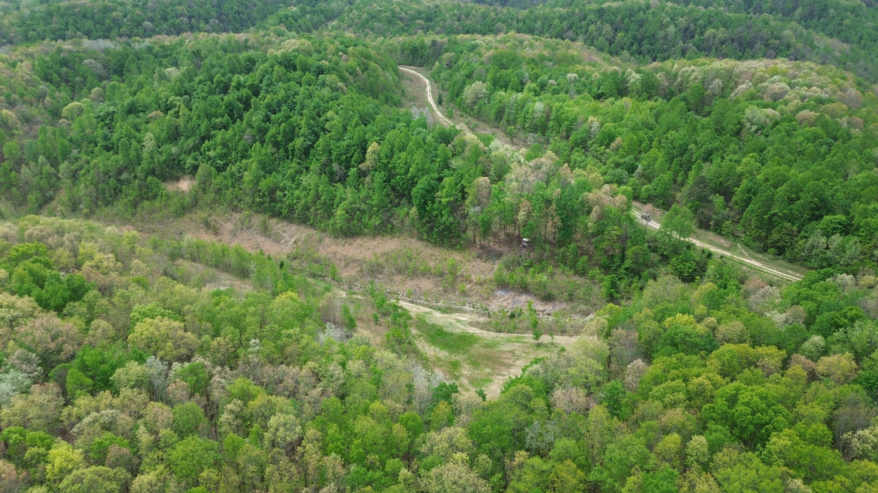 1271 A Tunnel Ridge Road Grayson, KY 41143 - Photo 47 of 134 Food Plot Area