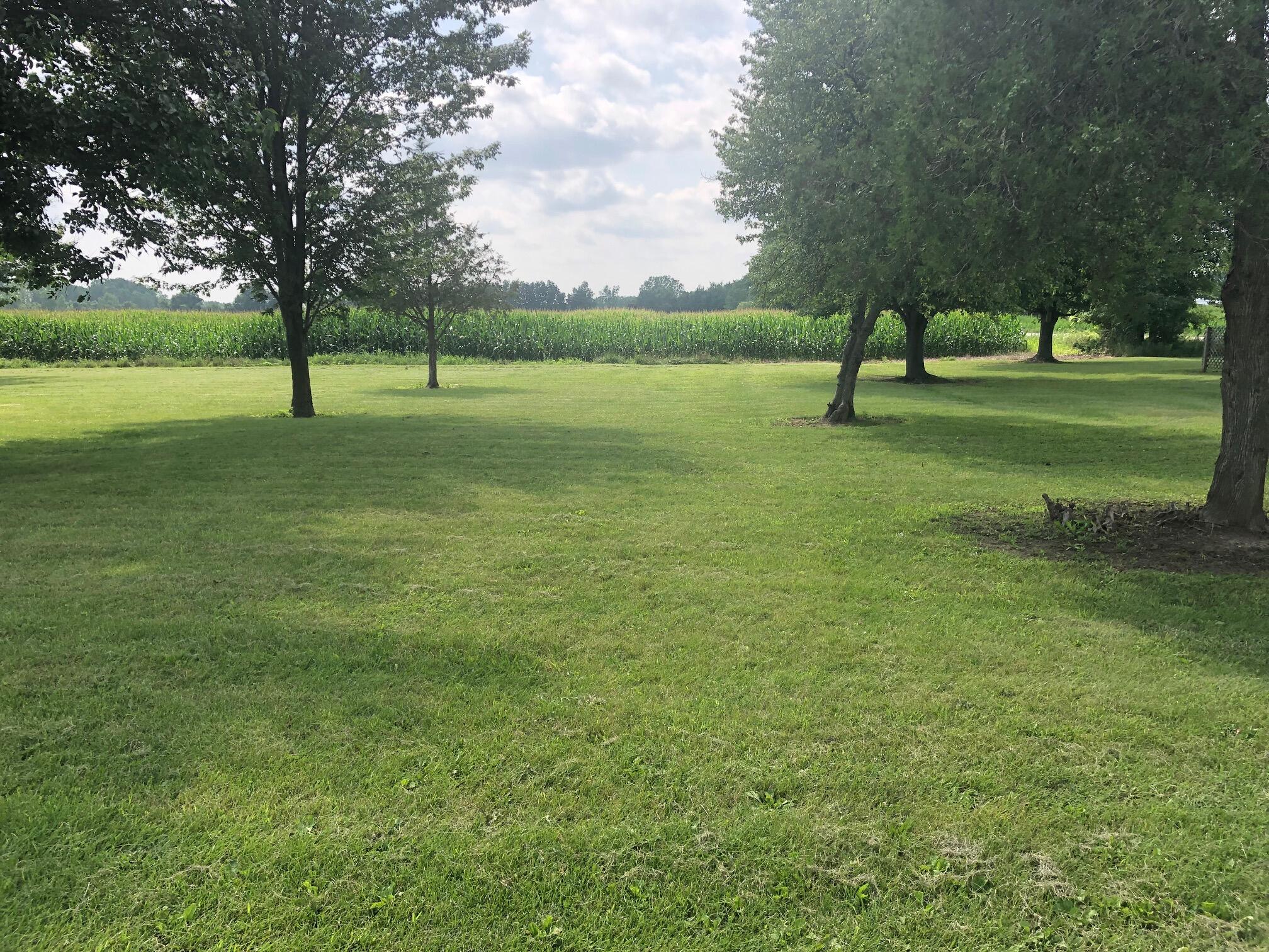 123 East Girard Road Union City, MI 49094 - Photo 6 of 19 IMG_6332