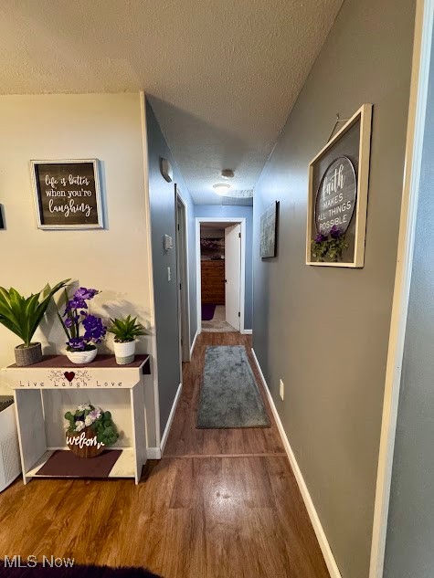 240 Spring Creek Road Northfield, OH 44067 - Photo 12 of 39 Hall with dark hardwood / wood-style flooring and a textured ceiling