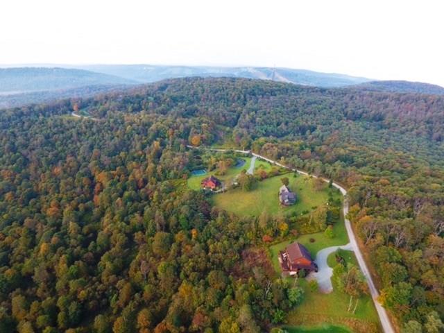 793 Fire Tower Road Champion, PA 15622 - Photo 23 of 25 Gallery Image 23