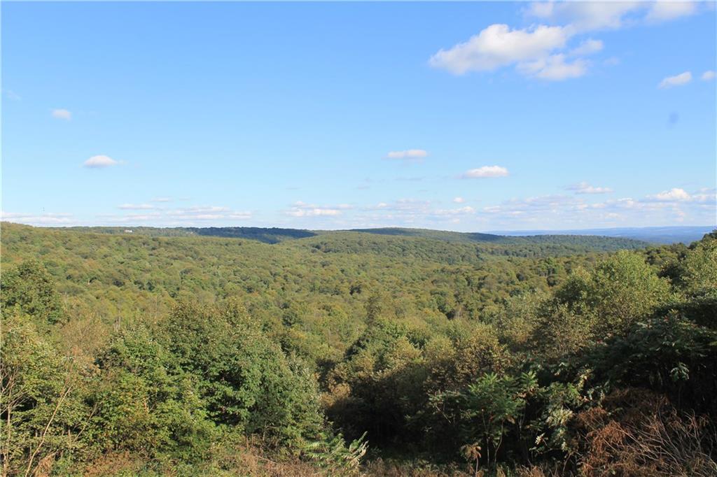 793 Fire Tower Road Champion, PA 15622 - Photo 4 of 25 Gallery Image 4