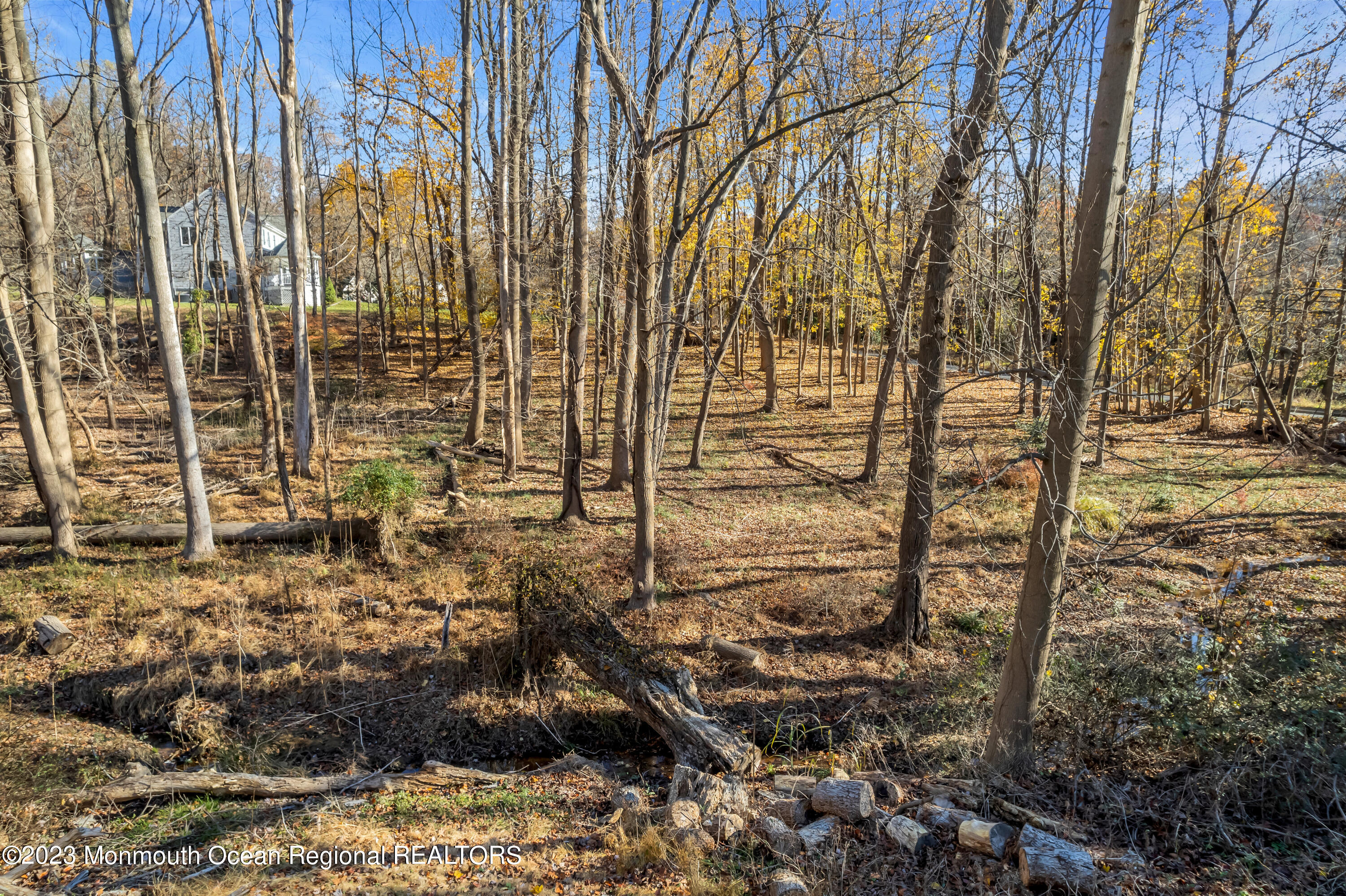 2 Beaver Hill Road Morganville, NJ 07751 - Photo 47 of 92 020_dji_0167