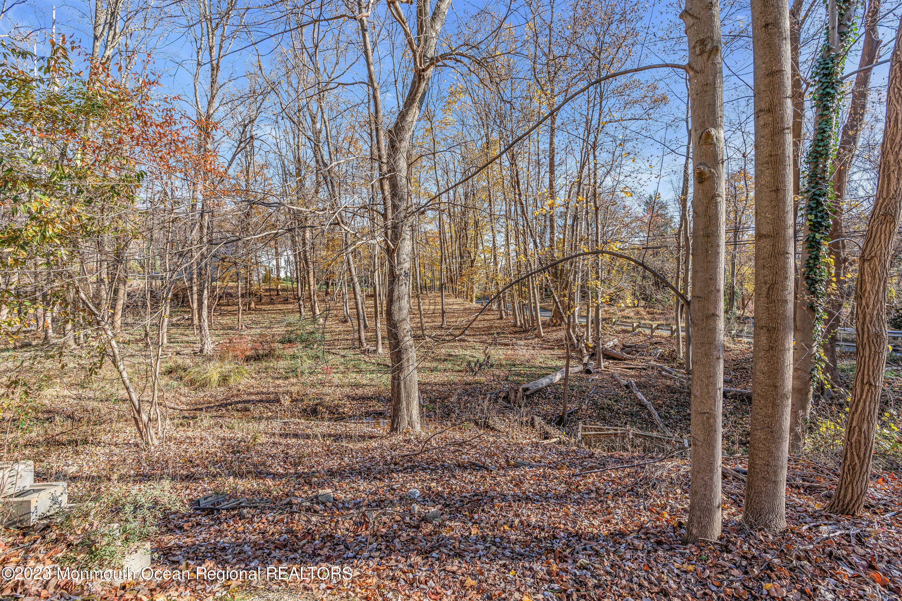 2 Beaver Hill Road Morganville, NJ 07751 - Photo 51 of 92 060_dsc06978