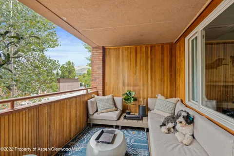 a balcony with furniture and a potted plant