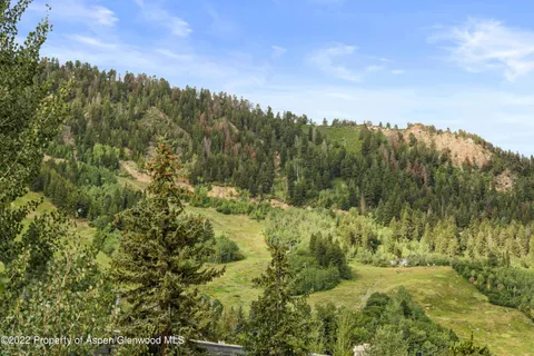 a view of a forest with a yard