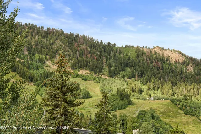 a view of a forest with a yard
