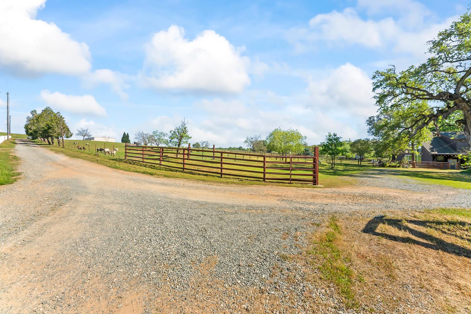 4997 Carbondale Road Plymouth, CA 95669 - Photo 12 of 58