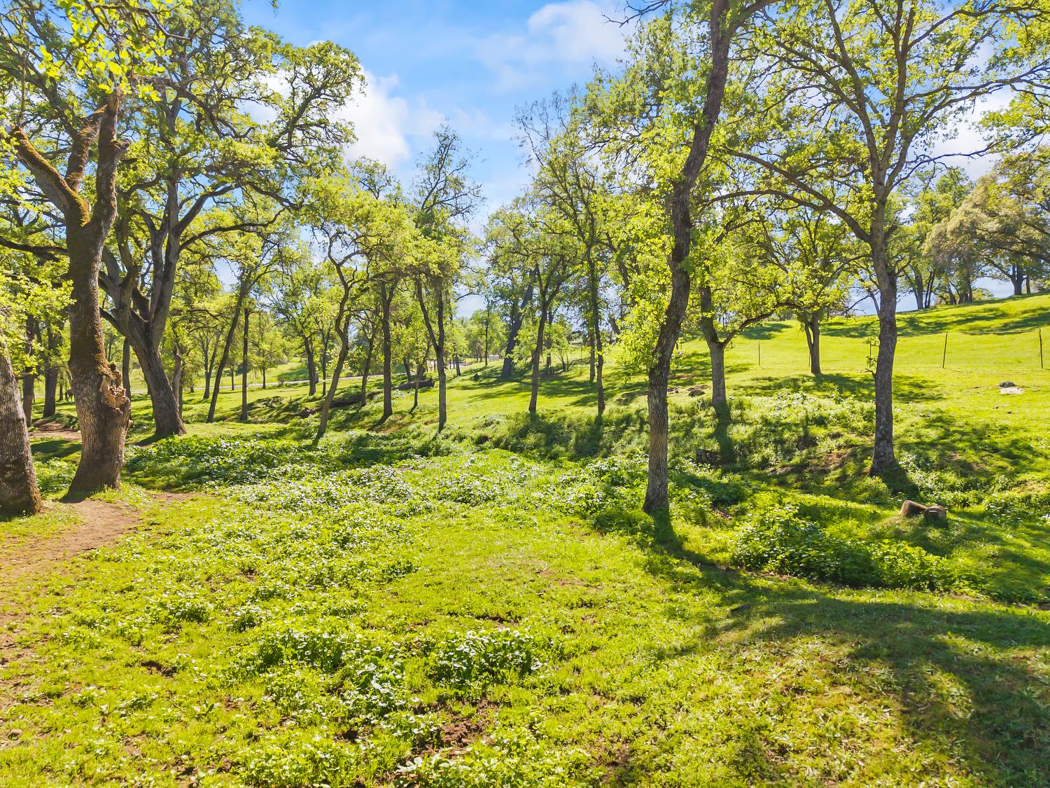 4997 Carbondale Road Plymouth, CA 95669 - Photo 4 of 58
