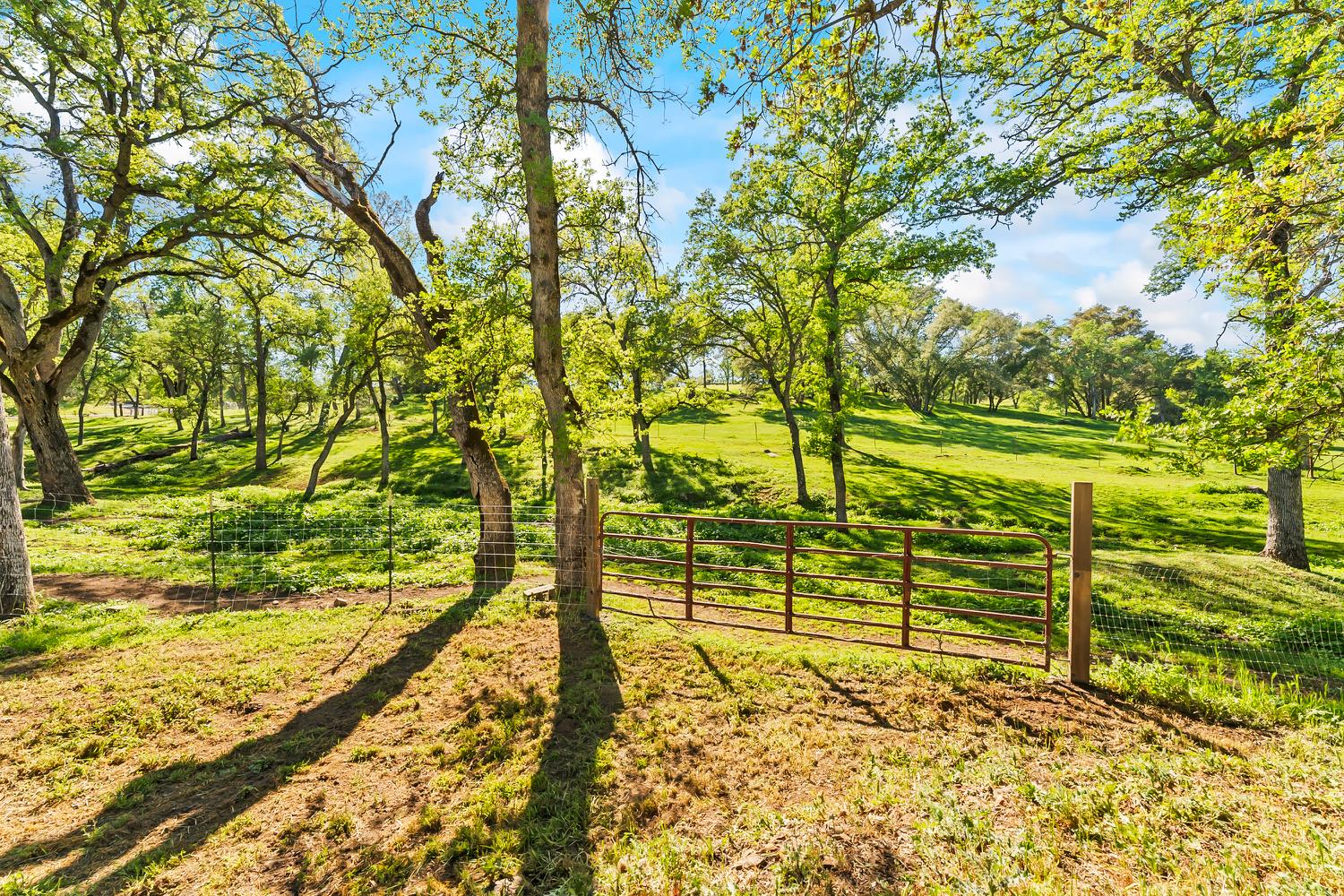 4997 Carbondale Road Plymouth, CA 95669 - Photo 49 of 58