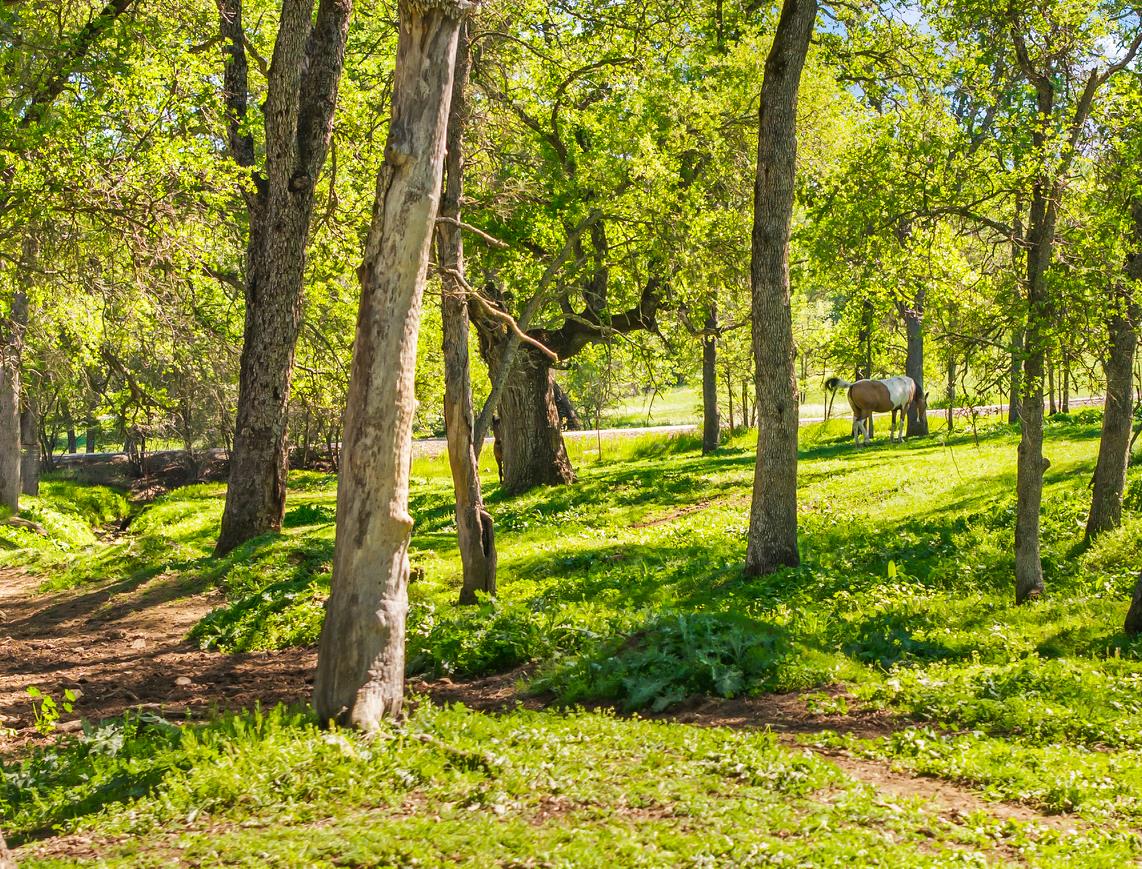 4997 Carbondale Road Plymouth, CA 95669 - Photo 5 of 58