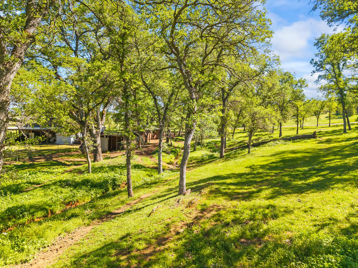 4997 Carbondale Road Plymouth, CA 95669 - Photo 55 of 58