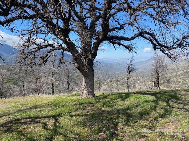 0 Piute Meadows Road Caliente, CA 93518 - Photo 15 of 18 Gallery Image 15