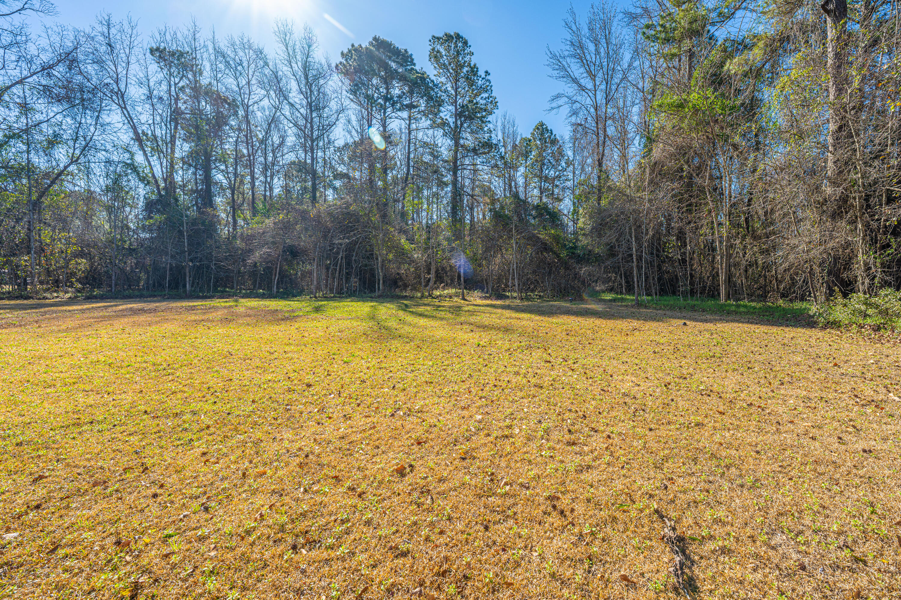 1716 Sunrise Road Smoaks, SC 29481 - Photo 31 of 42 Large Backyard