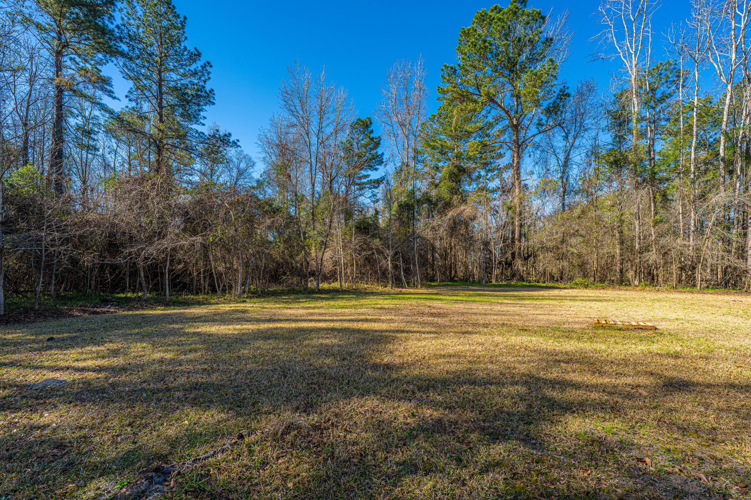 1716 Sunrise Road Smoaks, SC 29481 - Photo 32 of 42 Large Backyard