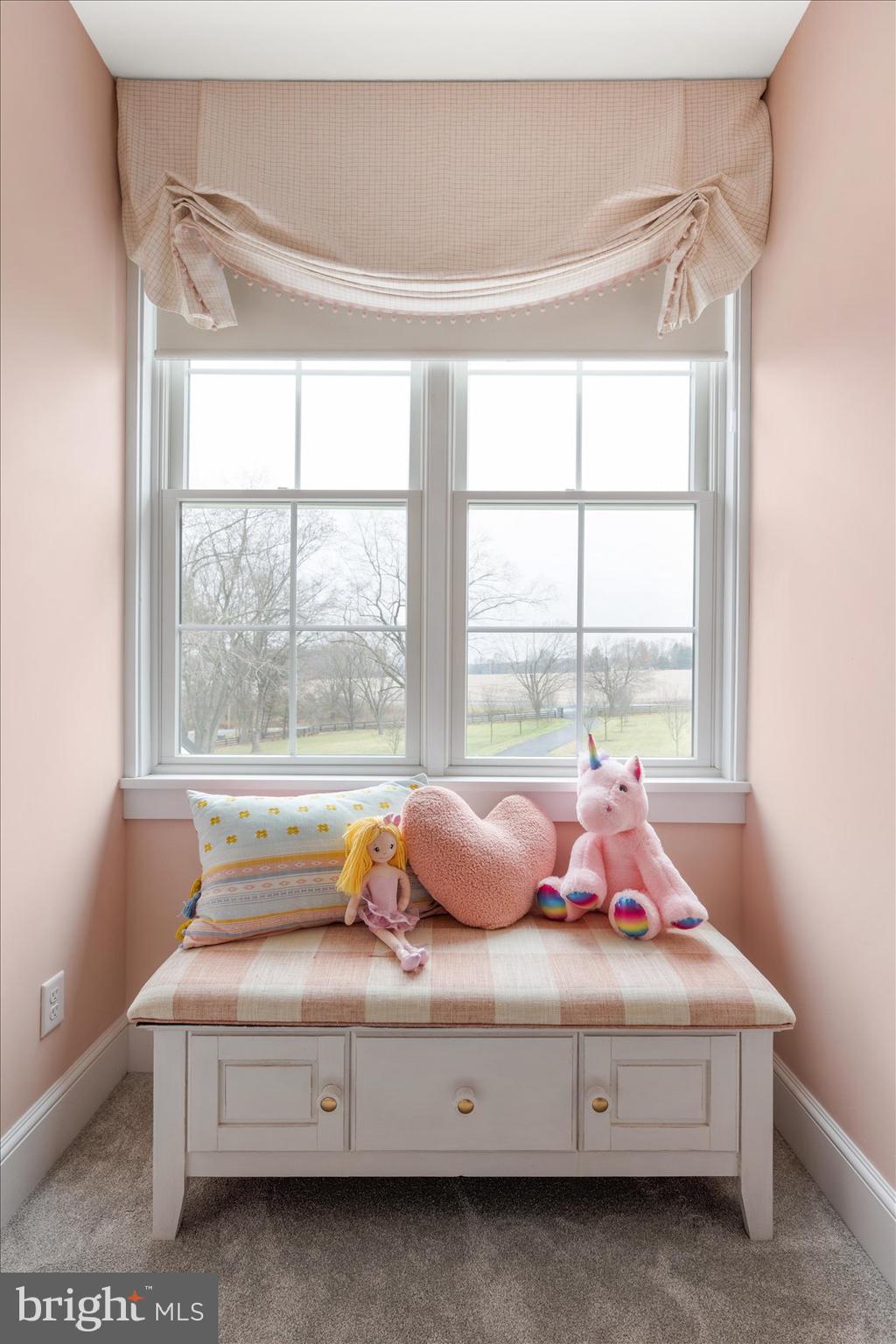 828 Federal Hill Road Street, MD 21154 - Photo 59 of 73 a living room with furniture and windows