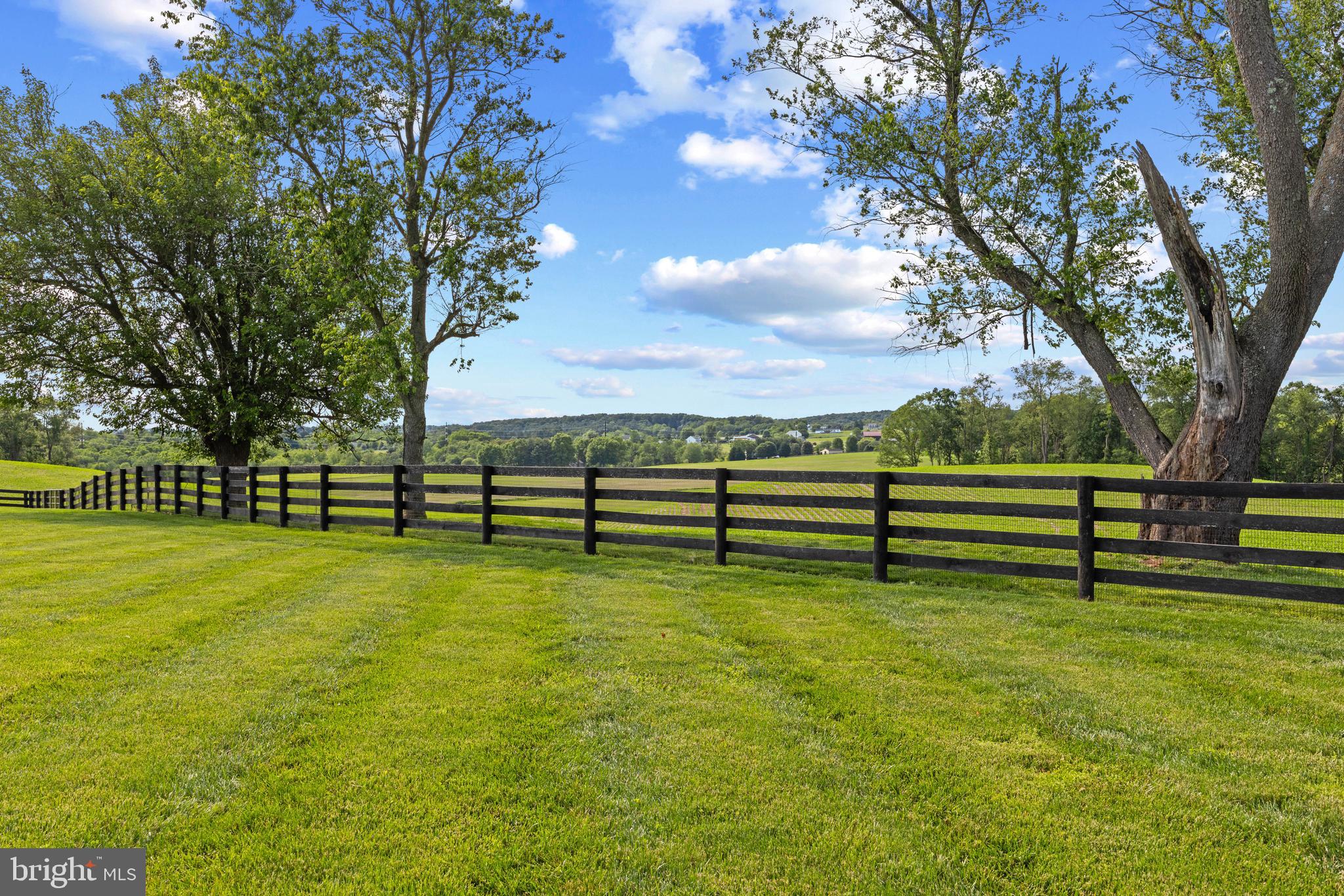 828 Federal Hill Road Street, MD 21154 - Photo 68 of 73 a view of a park with large trees