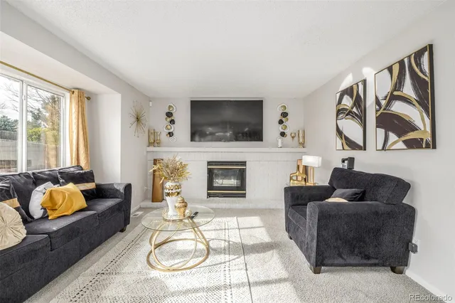 a living room with furniture a flat screen tv and a fireplace