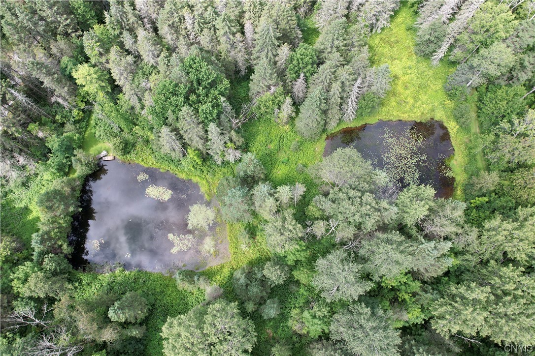 7807 Bonney Hill Road Hamilton, NY 13346 - Photo 11 of 50 Two ponds from a birds view