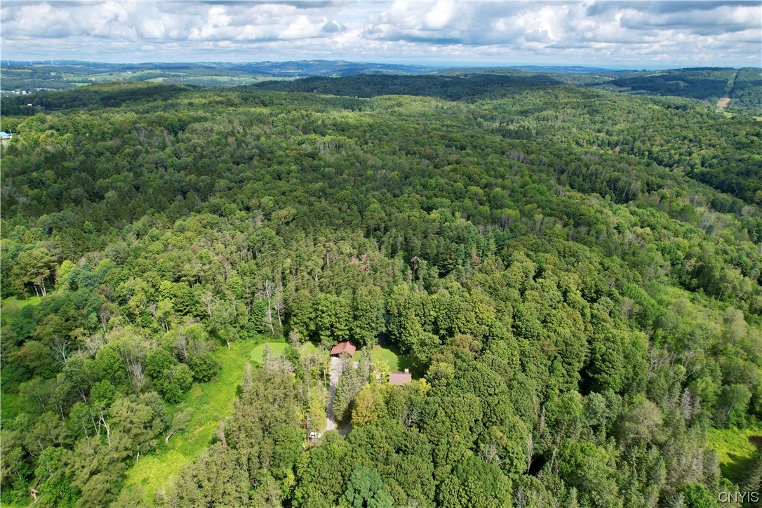 7807 Bonney Hill Road Hamilton, NY 13346 - Photo 43 of 50 28 beautiful wooded acres