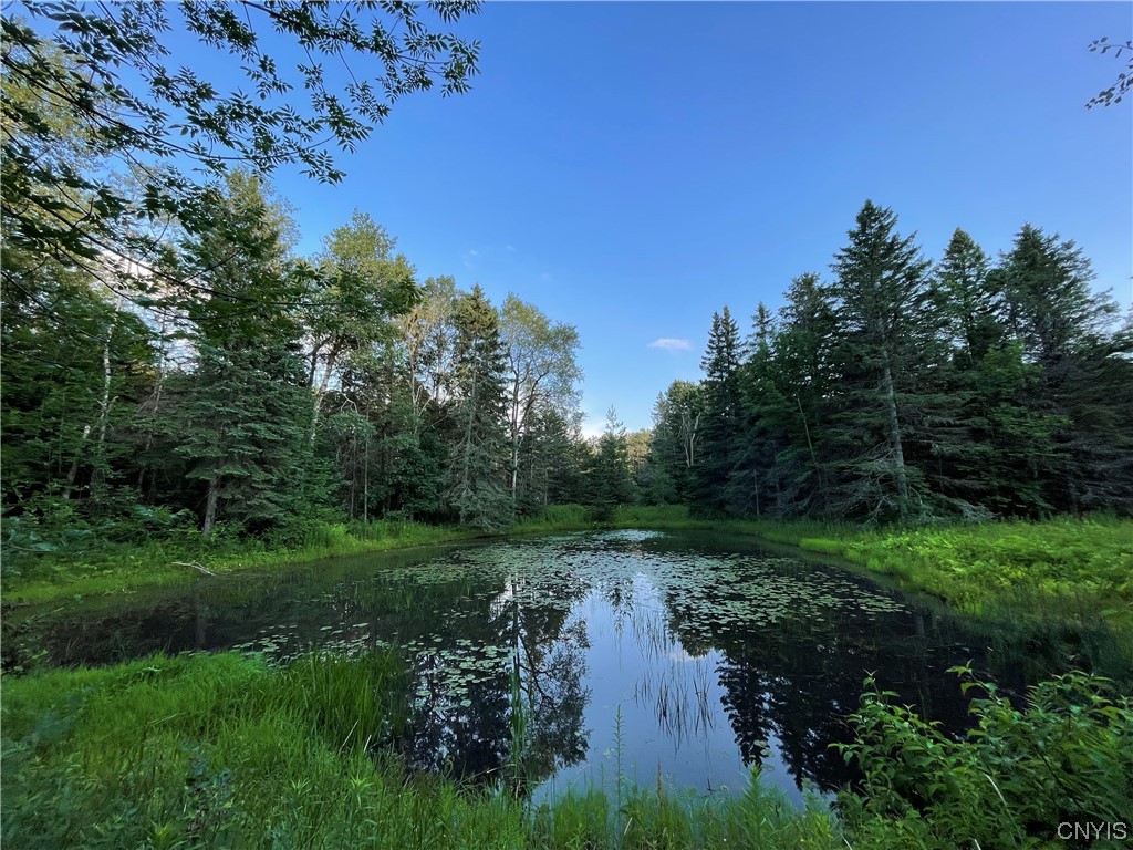 7807 Bonney Hill Road Hamilton, NY 13346 - Photo 10 of 50 One of the two ponds on the property