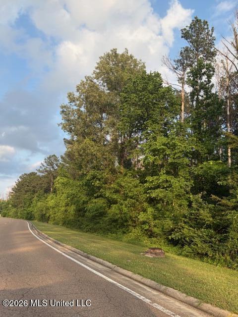 Airport Road Flowood, MS 39232 - Photo 8 of 8 Land Image 3