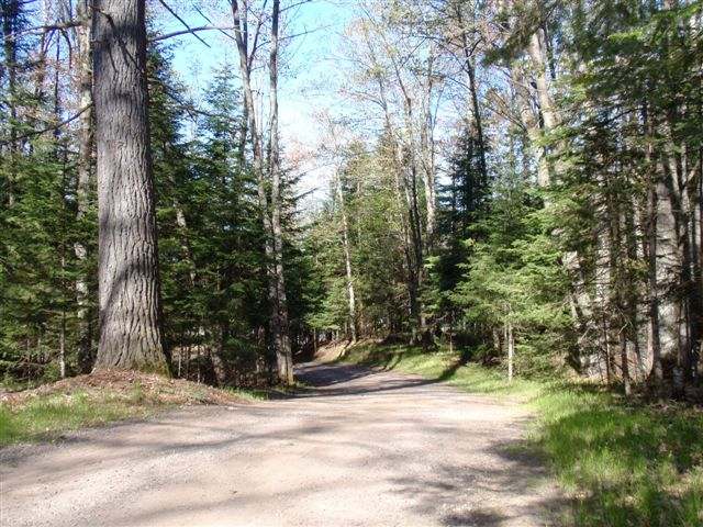 2161 Musky Road Eagle River, WI 54521 - Photo 19 of 19 Gallery Image 19