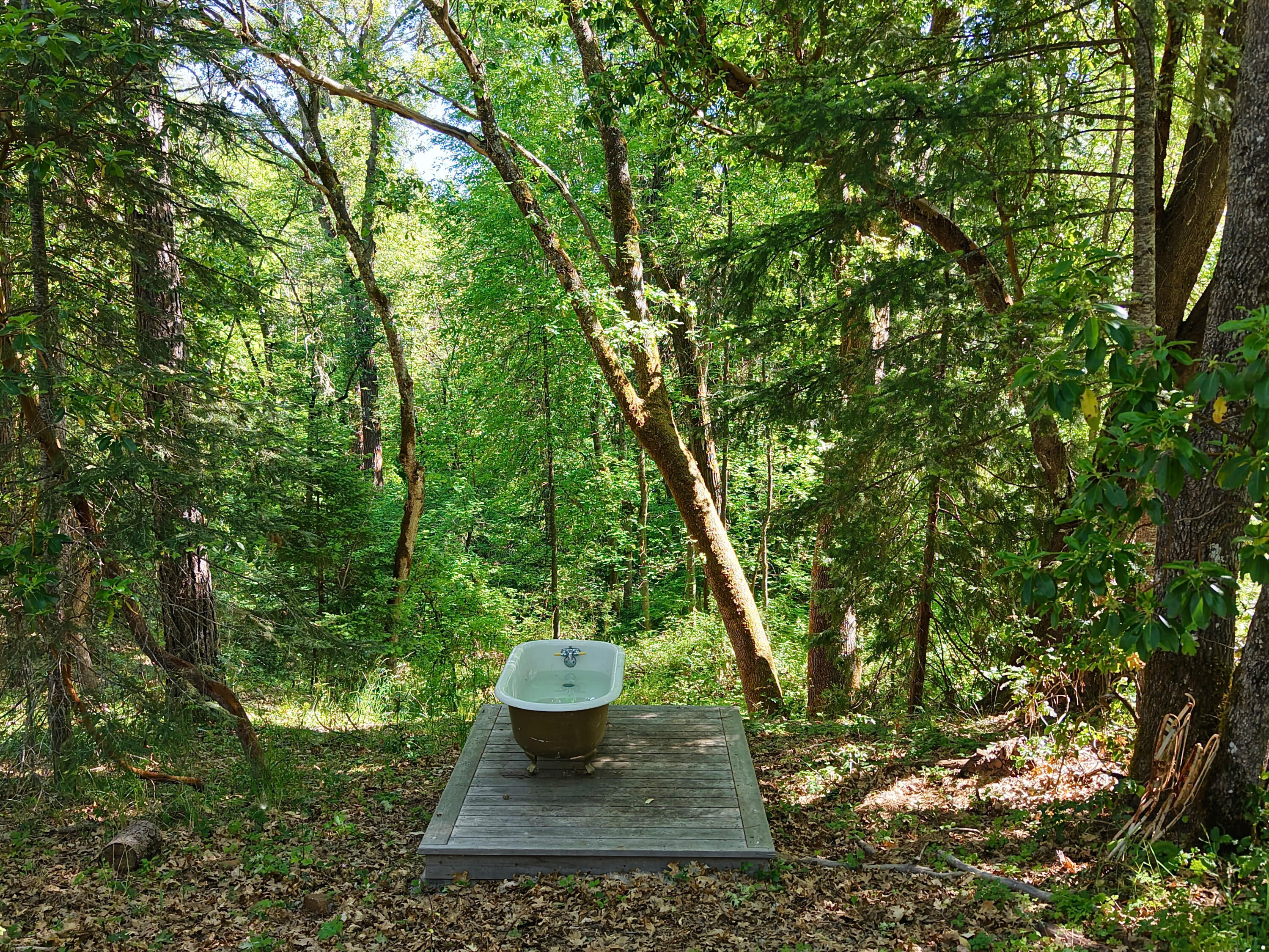 1135 East Fork Road Williams, OR 97544 - Photo 16 of 80 Gallery Image 16