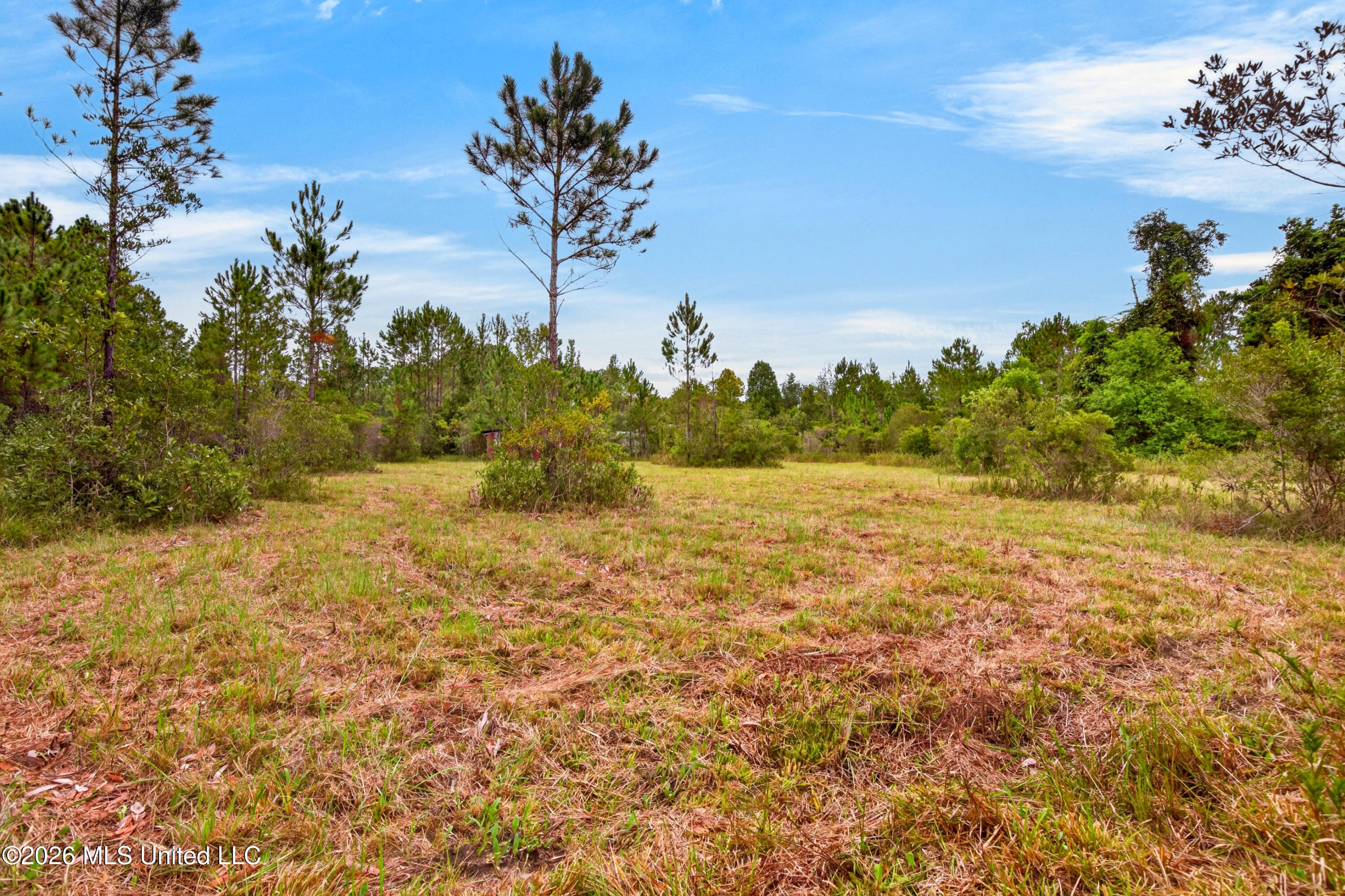 13417 Arguelles Road Vancleave, MS 39565 - Photo 49 of 55 13417ArguellasRd-47