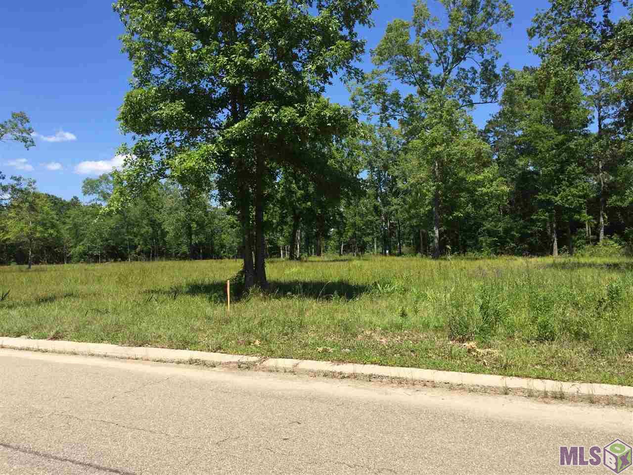 Fa-3 Panther Road Springfield, LA 70462 - Photo 3 of 5