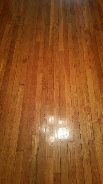 1042 Cherokee Road Aiken, SC 29801 - Photo 9 of 14