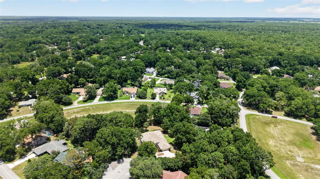 19025 Southwest 98th Loop Dunnellon, FL 34432 - Photo 65 of 80 a view of a city with lush green forest