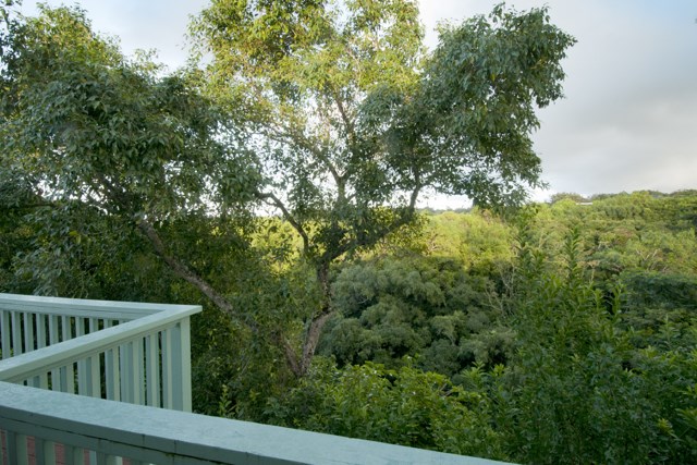 1127 Kauhikoa Road Haiku, HI 96708 - Photo 20 of 25 Gallery Image 20