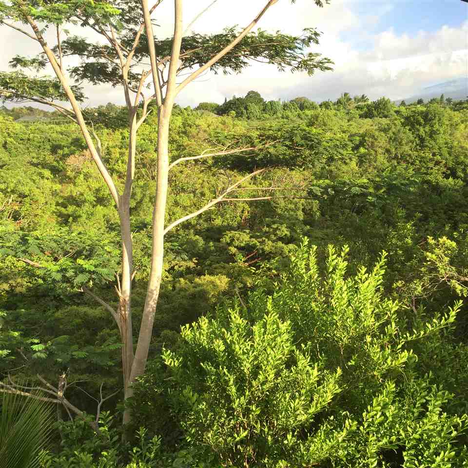 1127 Kauhikoa Road Haiku, HI 96708 - Photo 24 of 25 Gallery Image 24